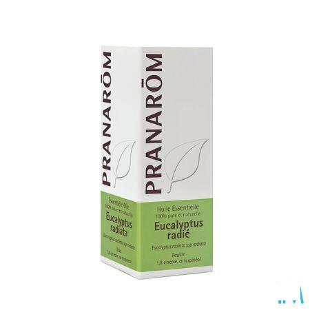 Eucalyptus Radiata Huile Essentielle 10 ml  -  Pranarom