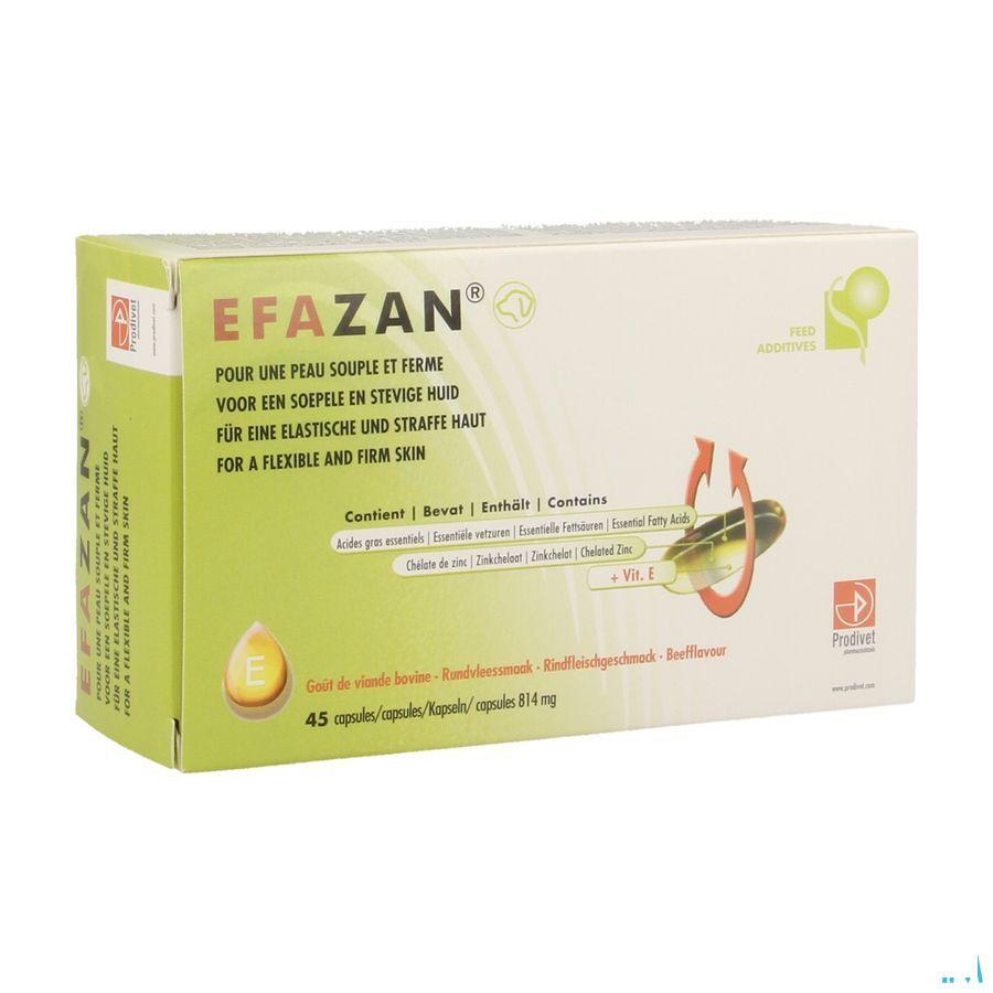 Efazan Capsule 45