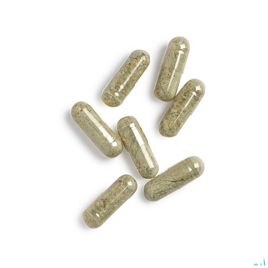 Biotics GTA-Forte 90 gélules  -  Energetica Natura