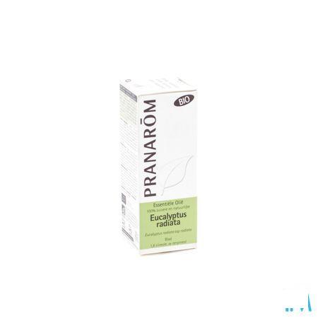 Eucalyptus Radie Bio Essentiele Olie 10 ml  -  Pranarom