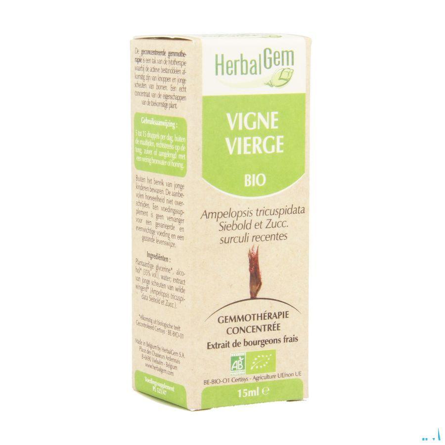 Herbalgem Wilde Wingerd Maceraat 15 ml  -  Herbalgem