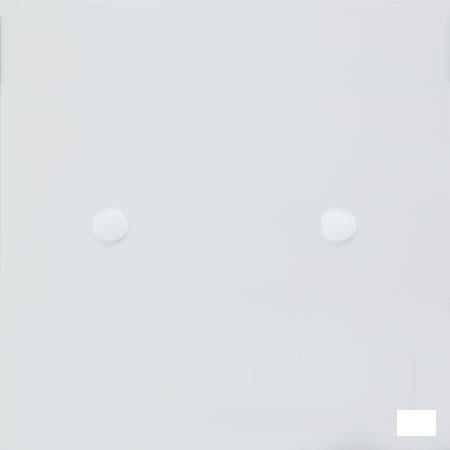 Homeogene N 9 Tabletten 60  -  Boiron