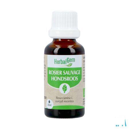 Herbalgem Rosier Sa Bio 30 ml