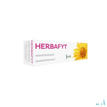 Soria Herbafyt 5 G  -  Soria Bel