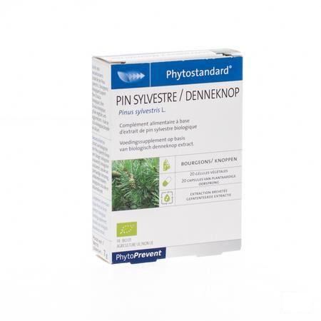 Phytostandard Pin Sylvestre Capsule 20  -  Pileje