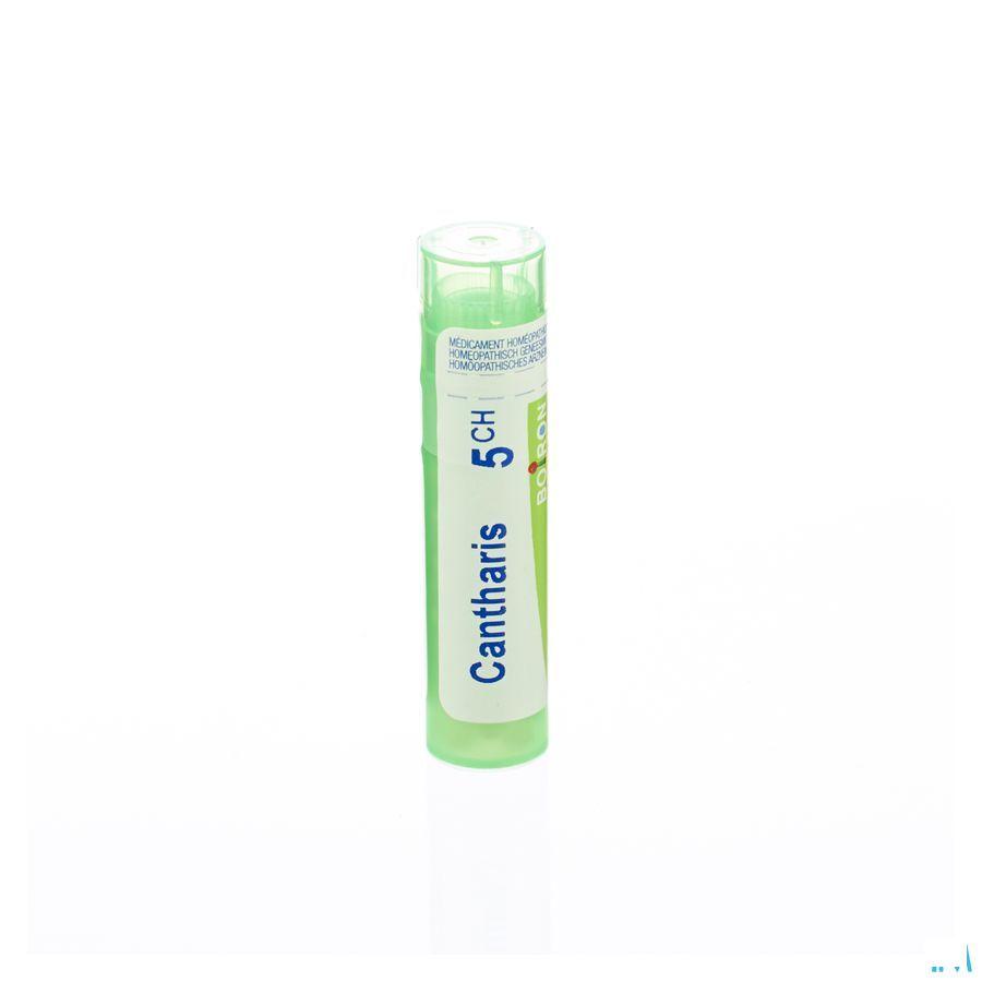 Cantharis 5CH Gr 4g  -  Boiron