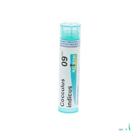 Cocculus Indicus 9CH Gr 4g  -  Boiron