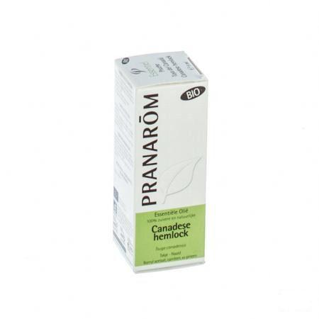 Tsuga Canadensis Bio Essentiele Olie 5 ml  -  Pranarom