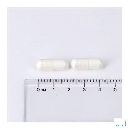 Lepivits Magnesium Malate Caps 60