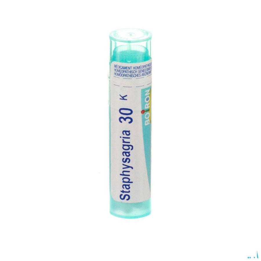 Staphysagria 30K Gr 4g  -  Boiron