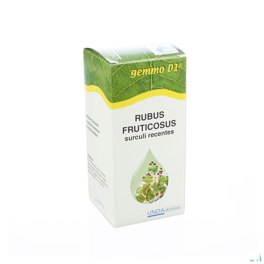 Rubus Fruct Gemmo D1 125 ml  -  Boiron