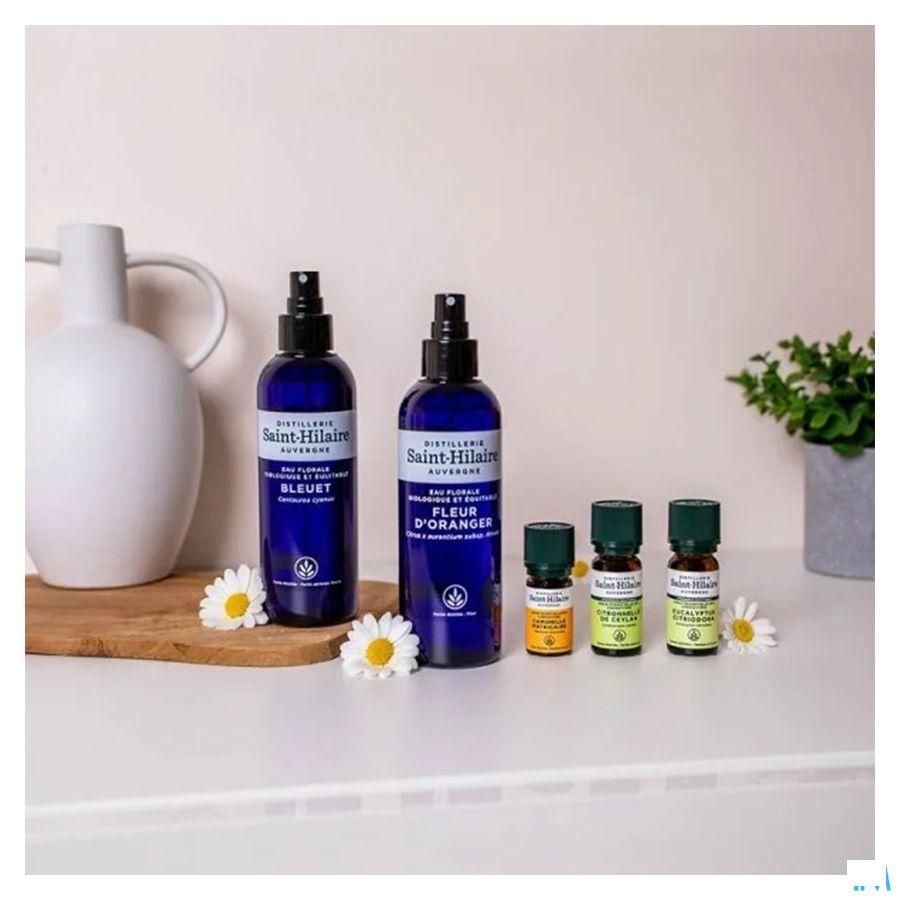 Eucalyptus Citriodora Huile Essentielle 10 ml  -  Bioholistic Diffusion