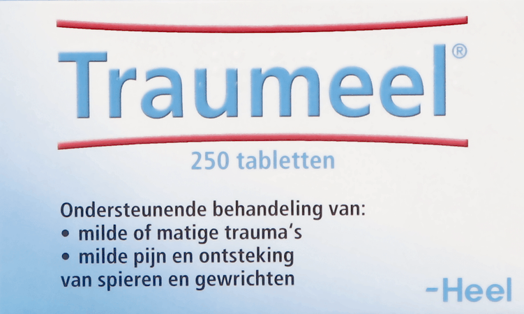 Heel Traumeel 250 Tabl  -  Heel