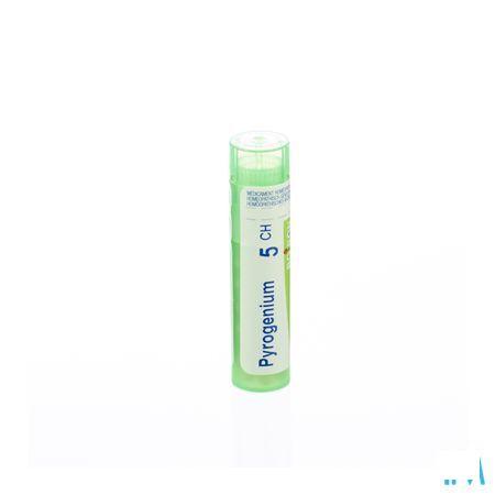 Pyrogenium 5CH Gr 4g  -  Boiron
