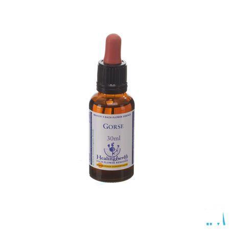 Healing Herbs Gorse 30 ml