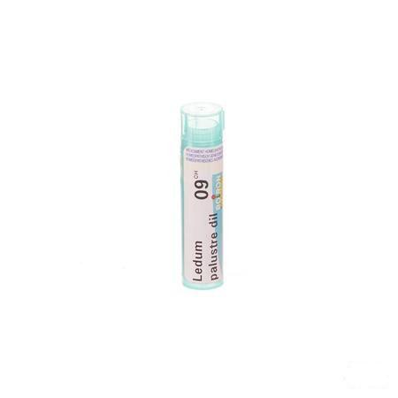 Ledum Palustre 9CH Gr 4g  -  Boiron