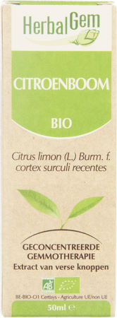 Herbalgem Citronnier Macerat 50 ml  -  Herbalgem