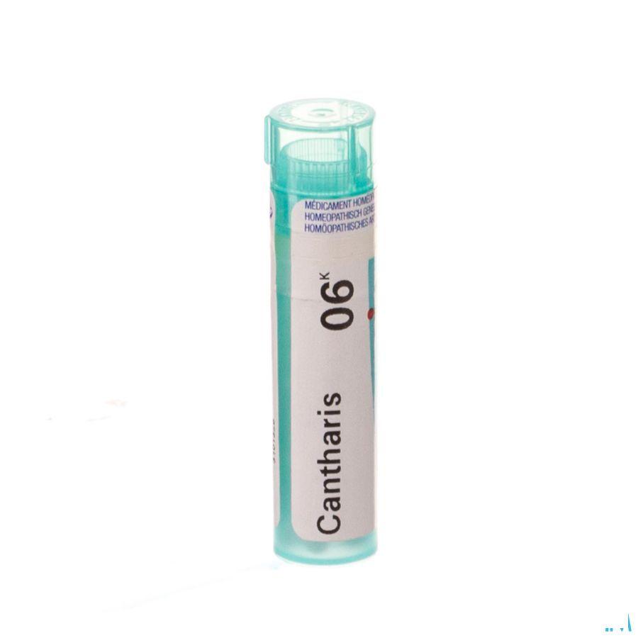 Cantharis 6k Gr 4g  -  Boiron