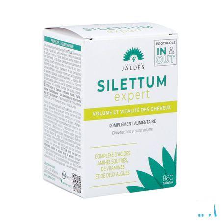 Silettum Gel 60