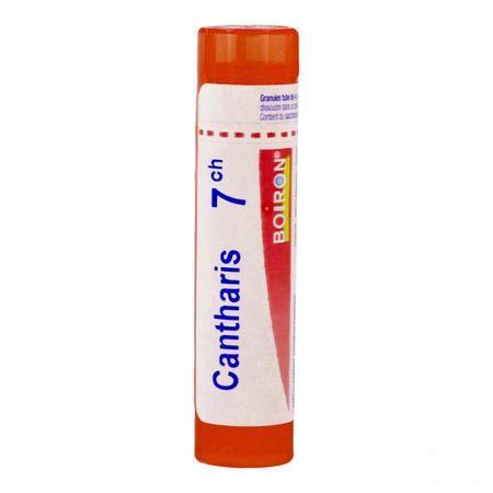 Cantharis 7CH Gr 4g  -  Boiron
