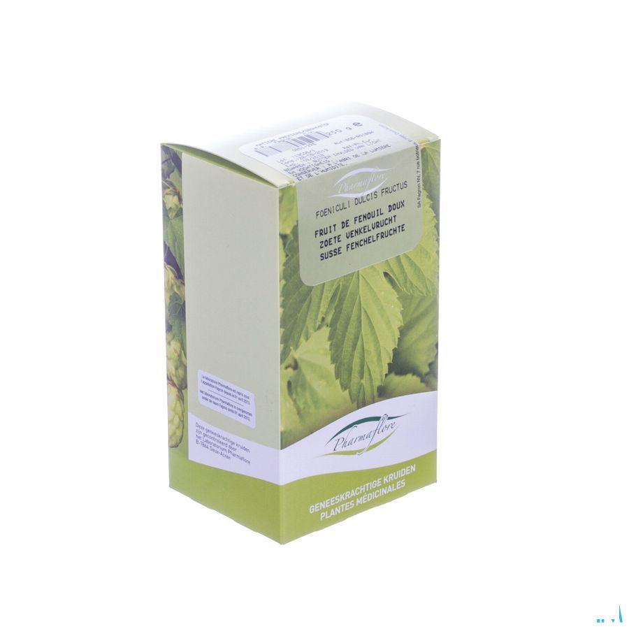 Venkelvrucht Doos 250 gr  -  Fagron