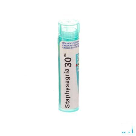 Staphysagria 30CH Gr 4g  -  Boiron