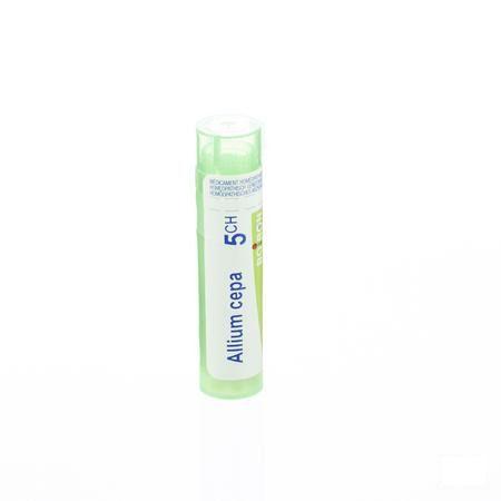 Allium Cepa 5CH Gr 4g  -  Boiron