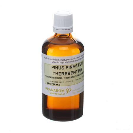 Pinus Pinaster Terebent. Essentiele Olie 100 ml  -  Pranarom