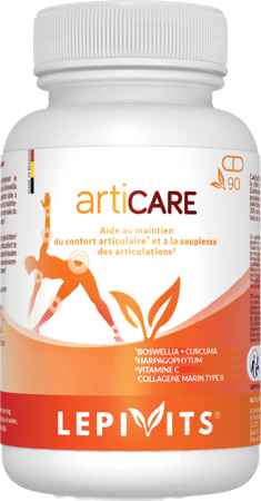 Lepivits Articare V-Caps 90
