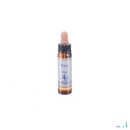 Healing Herbs Pine 10 ml