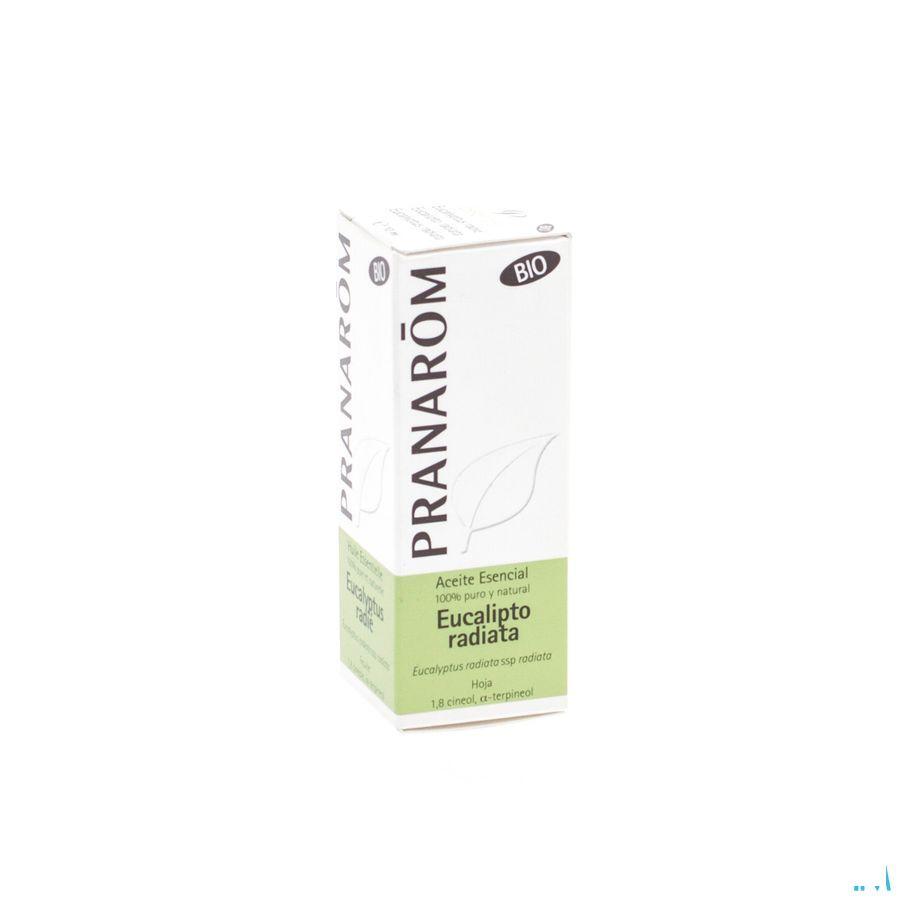 Eucalyptus Radie Bio Essentiele Olie 10 ml  -  Pranarom
