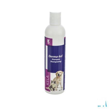 Derma-kel Shampooing 250 ml  -  Kela Pharma