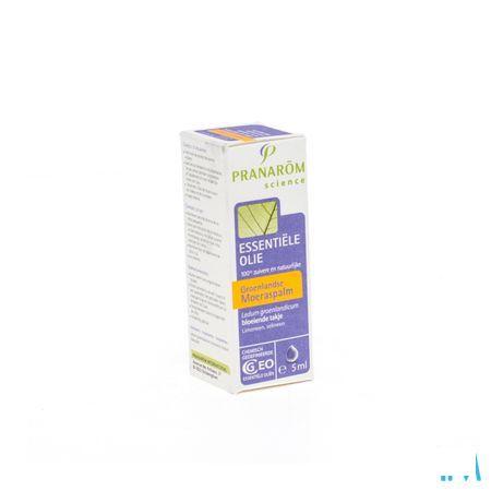 Ledon Groenland Huile Essentielle 5 ml  -  Pranarom