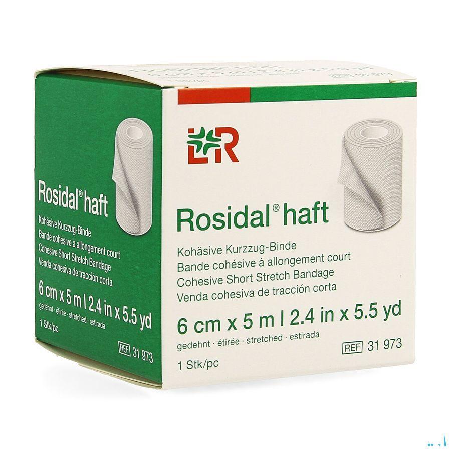 Rosidal Haft Bande Cohesive 6cmx5m 1 31973  -  Lohmann & Rauscher