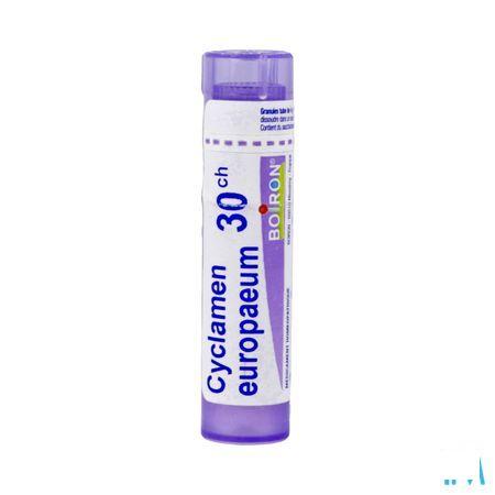 Cyclamen Europaeum 30K Gr 4g  -  Boiron