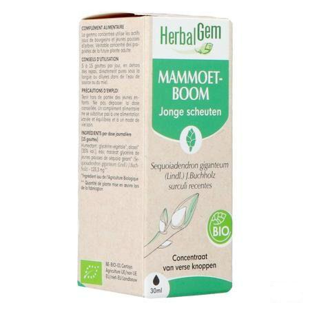 Herbalgem Mammoetboom Bio 30 ml