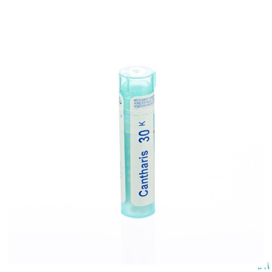 Cantharis 30K Gr 4g  -  Boiron