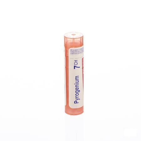 Pyrogenium 7CH Gr 4g  -  Boiron