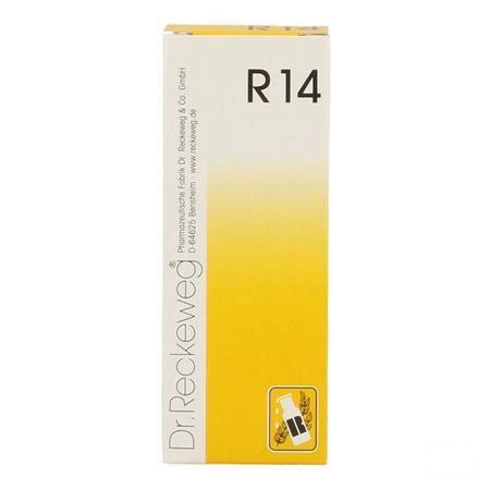 Reckeweg Dr. R14 Gouttes 50 ml  -  Nut-Hom-Phyt