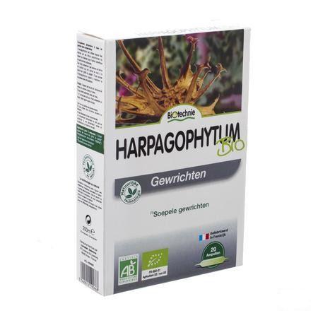 Harpagophytum Bio Ampullen 20x10 ml