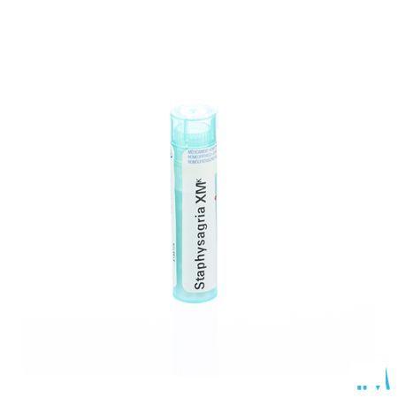 Staphysagria XMK Gr 4g  -  Boiron