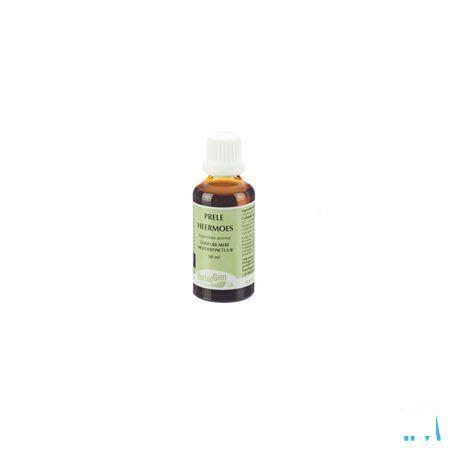 Herbalgem Heermoes Tm 50 ml  -  Herbalgem