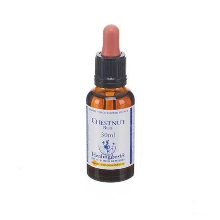 Healing Herbs Chestnut Bud 30 ml