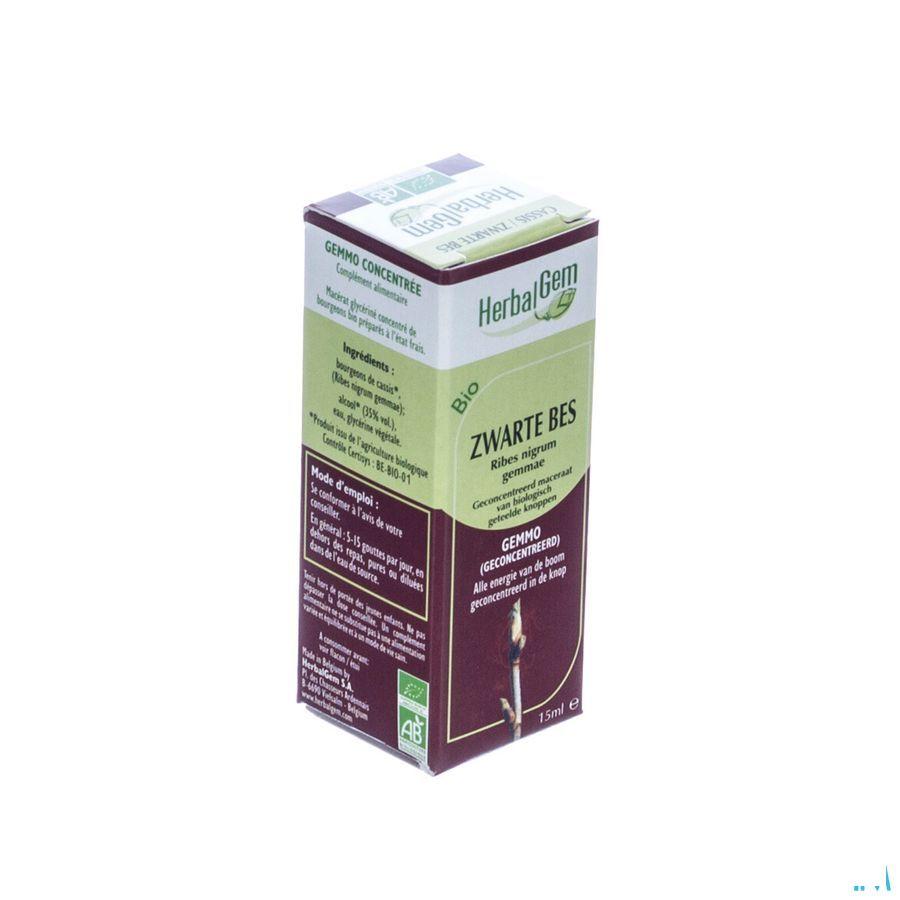 Herbalgem Zwarte Bes Maceraat 15 ml  -  Herbalgem