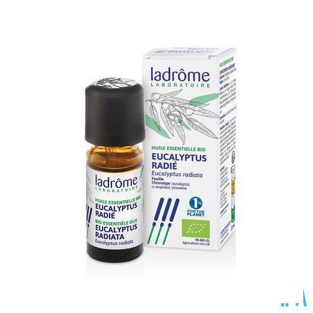 Mannavita Huile Essentielle Eucalyptus Radiata 10 ml