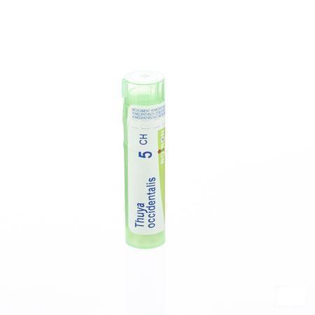 Thuya Occidentalis 5CH Gr 4g  -  Boiron