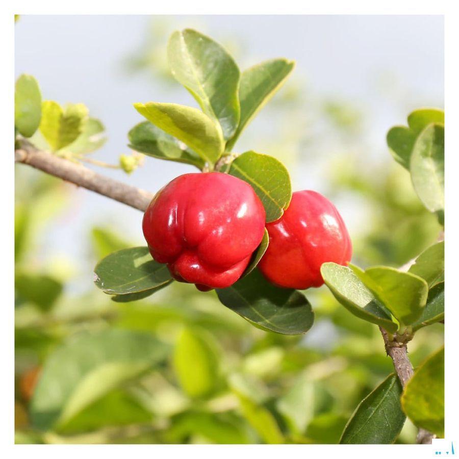 Fitoform Veggie Acerola 100 Bio Comp 60  -  Bioholistic Diffusion