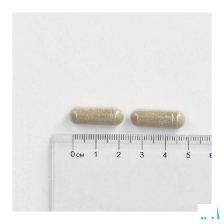 Cogniton Plus Energy Caps 90  -  Depharm