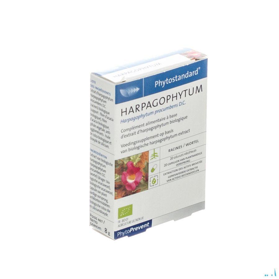Phytostandard Harpagophytum Capsule 20  -  Pileje