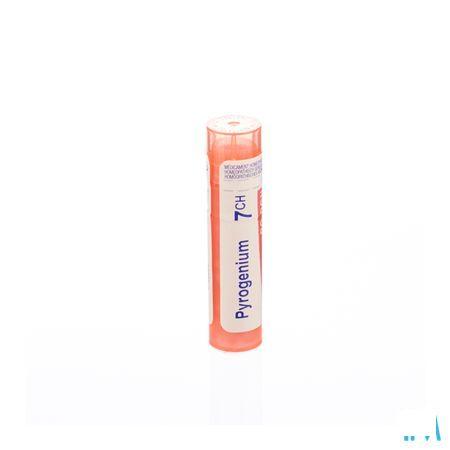 Pyrogenium 7CH Gr 4g  -  Boiron